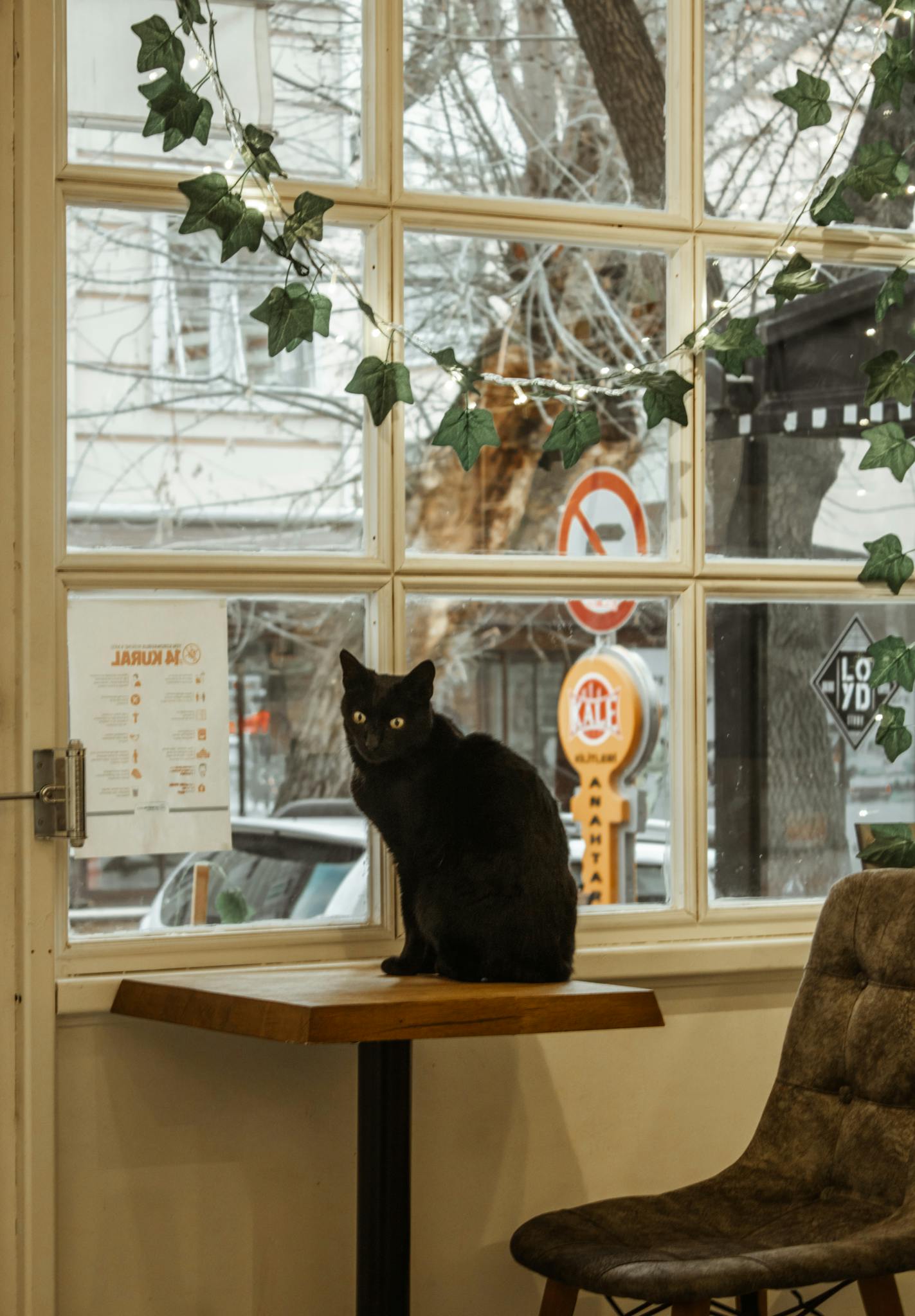 A black cat sits on a table near a window, adding charm to the cozy café interior.