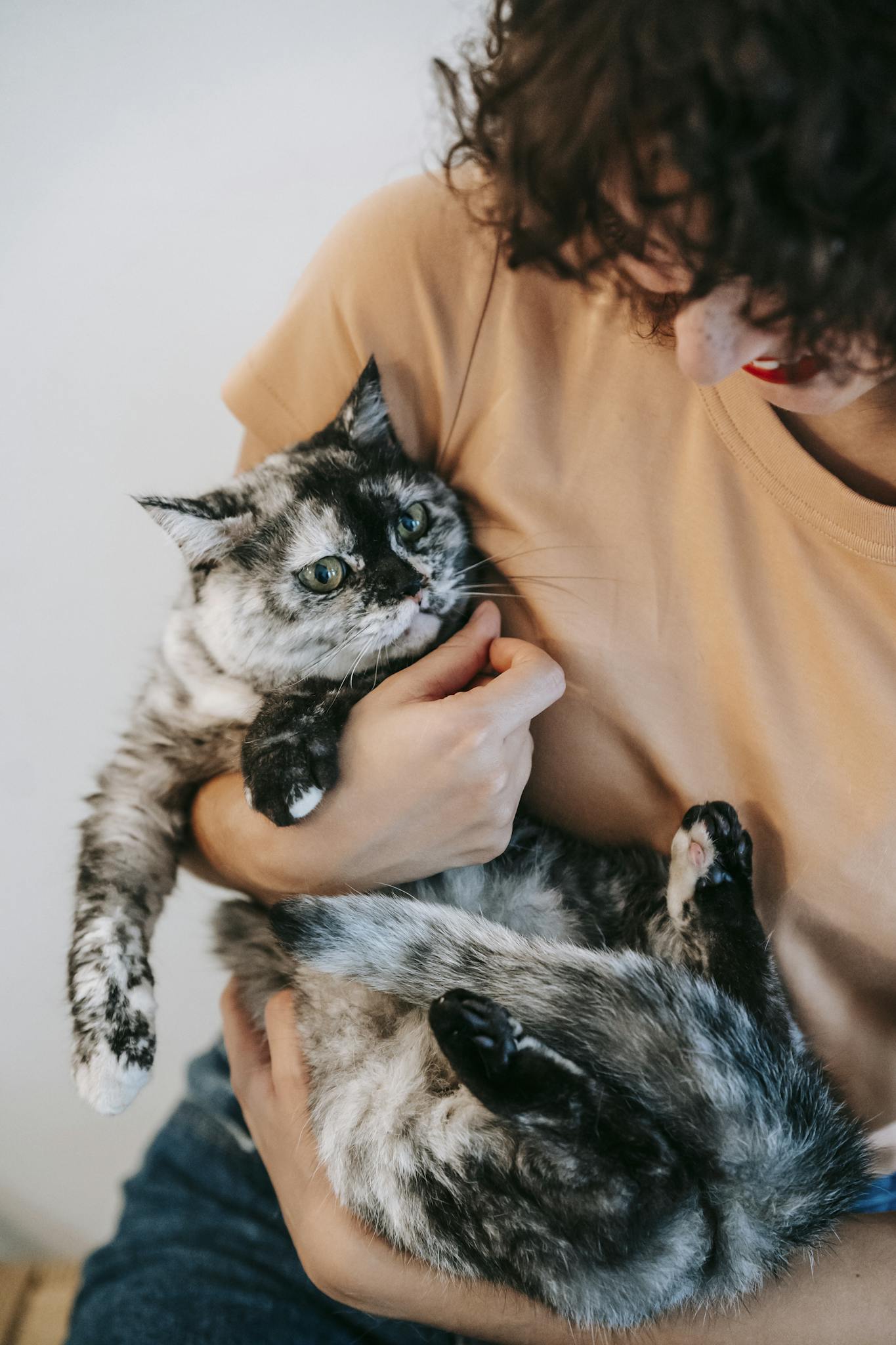A woman lovingly cradles a fluffy, spotted cat in her arms, expressing a warm bond.