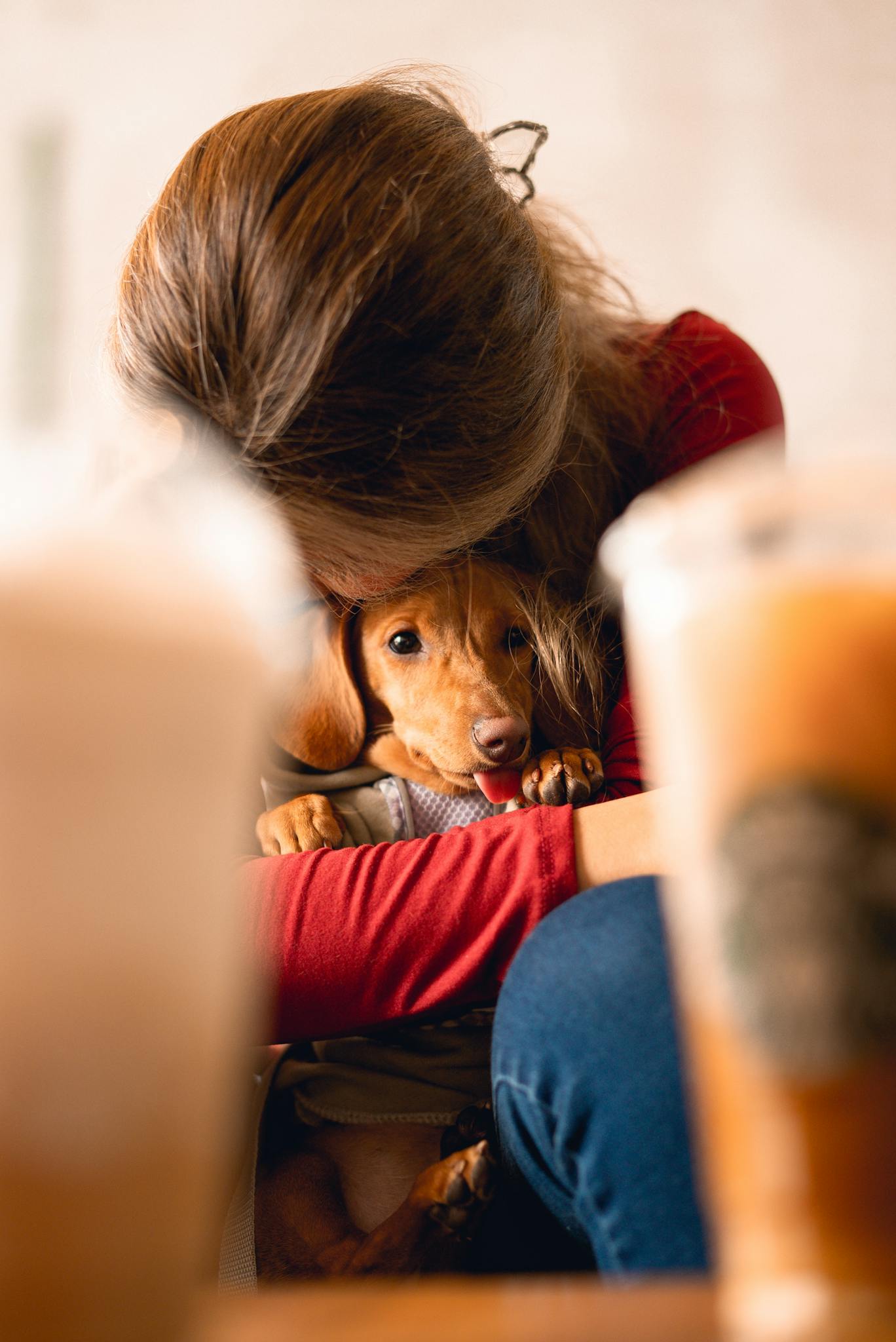 A woman lovingly hugs her dachshund puppy in a cozy café setting.