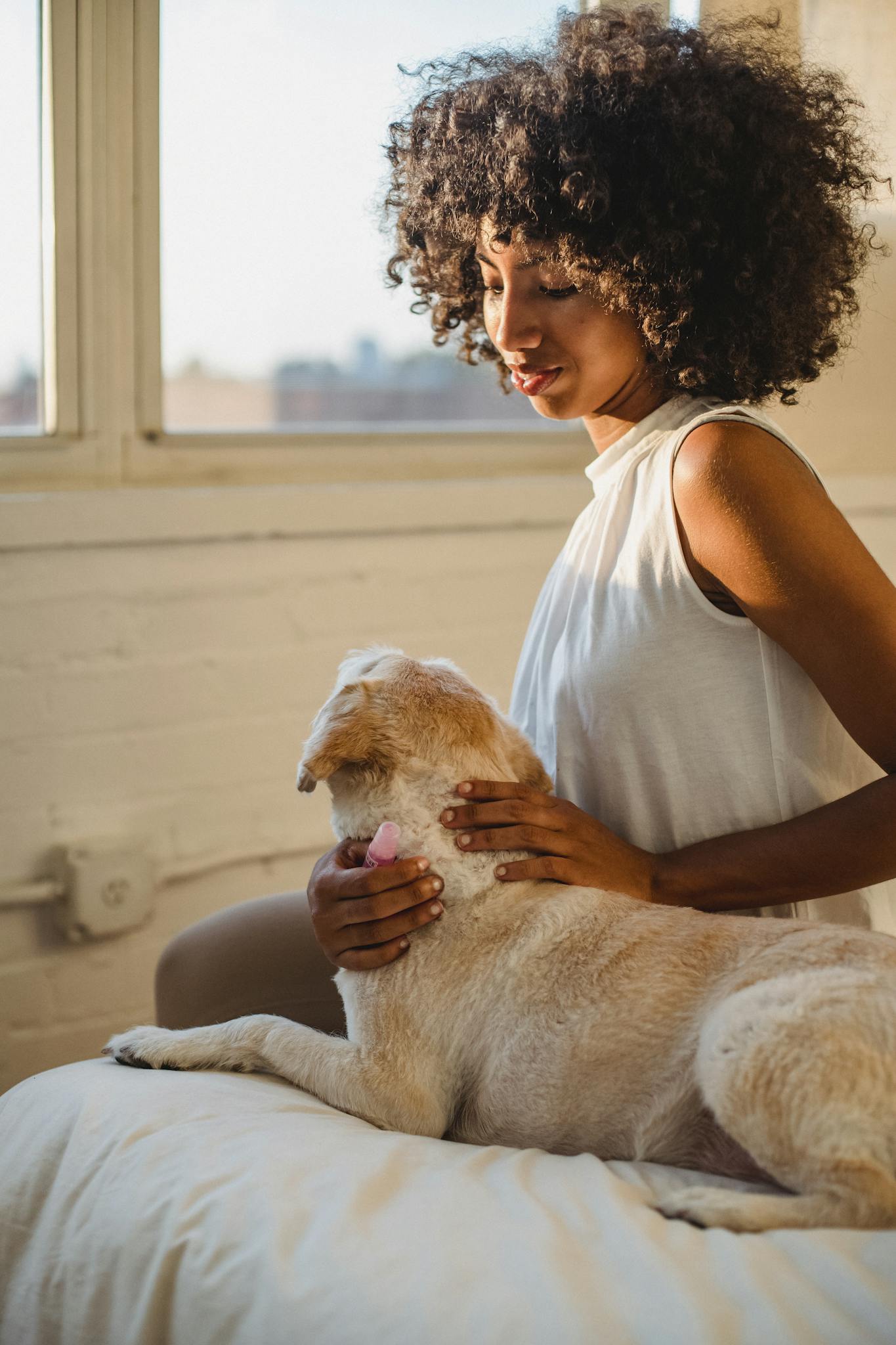 African American woman enjoying a warm moment with her dog in a cozy, sunlit bedroom.