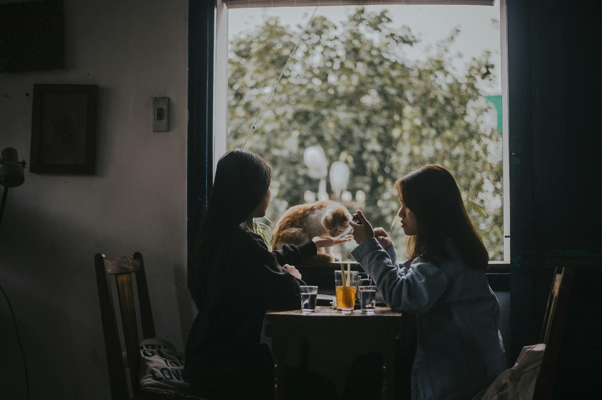 Two women enjoying drinks in a cozy café, with a cat on the window sill.